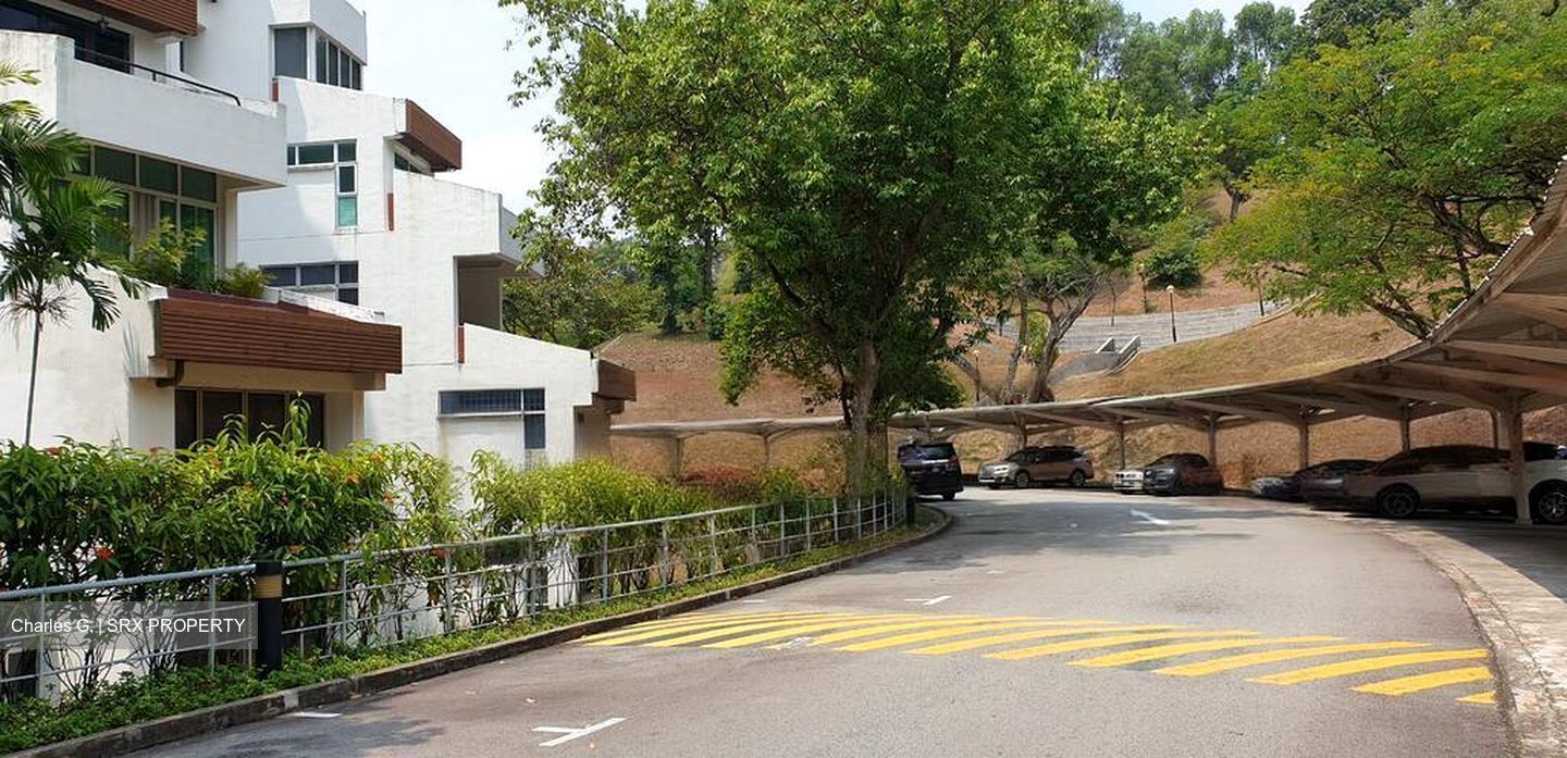 Clementi Park (D21), Condominium #570575171